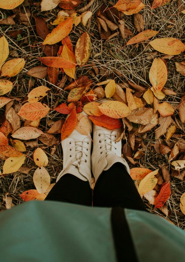 🍂 101+ Fall Date Ideas to Celebrate the Season of Change